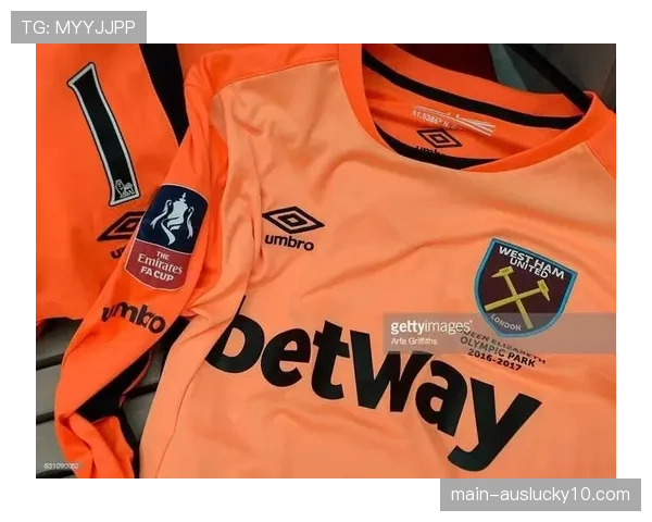 新赞助协议达成,英超臂章广告价值年增长率达15% 新赞助协议达成,英超臂章广告价值年增长率达15%